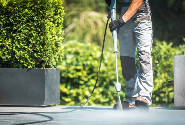 Animal Enclosure Cleaning in Oradell, NJ